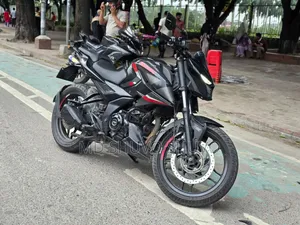 New Bajaj Pulsar N250 2025 Gray