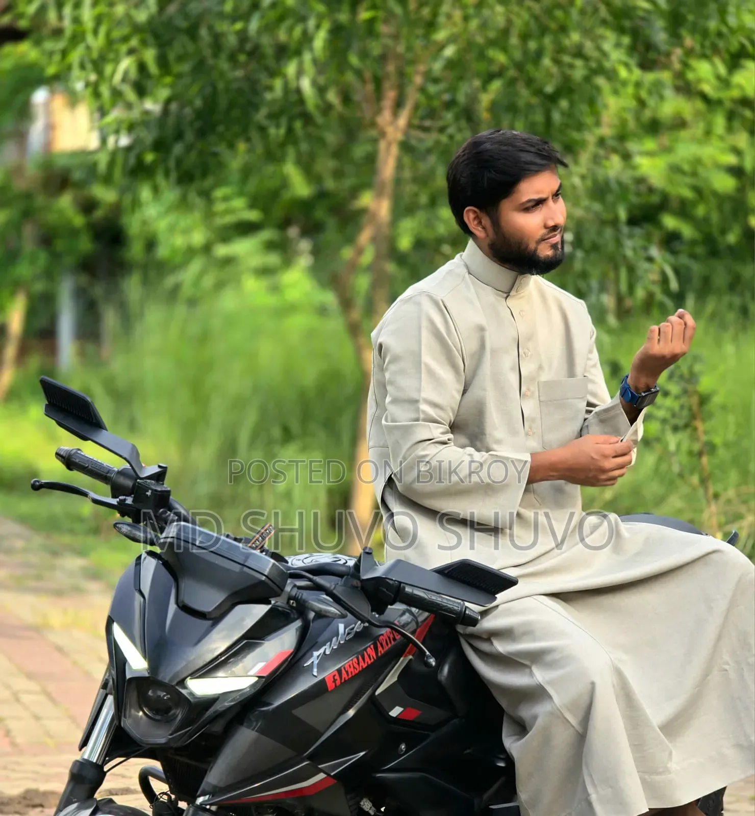 New Bajaj Pulsar N250 2025 Gray