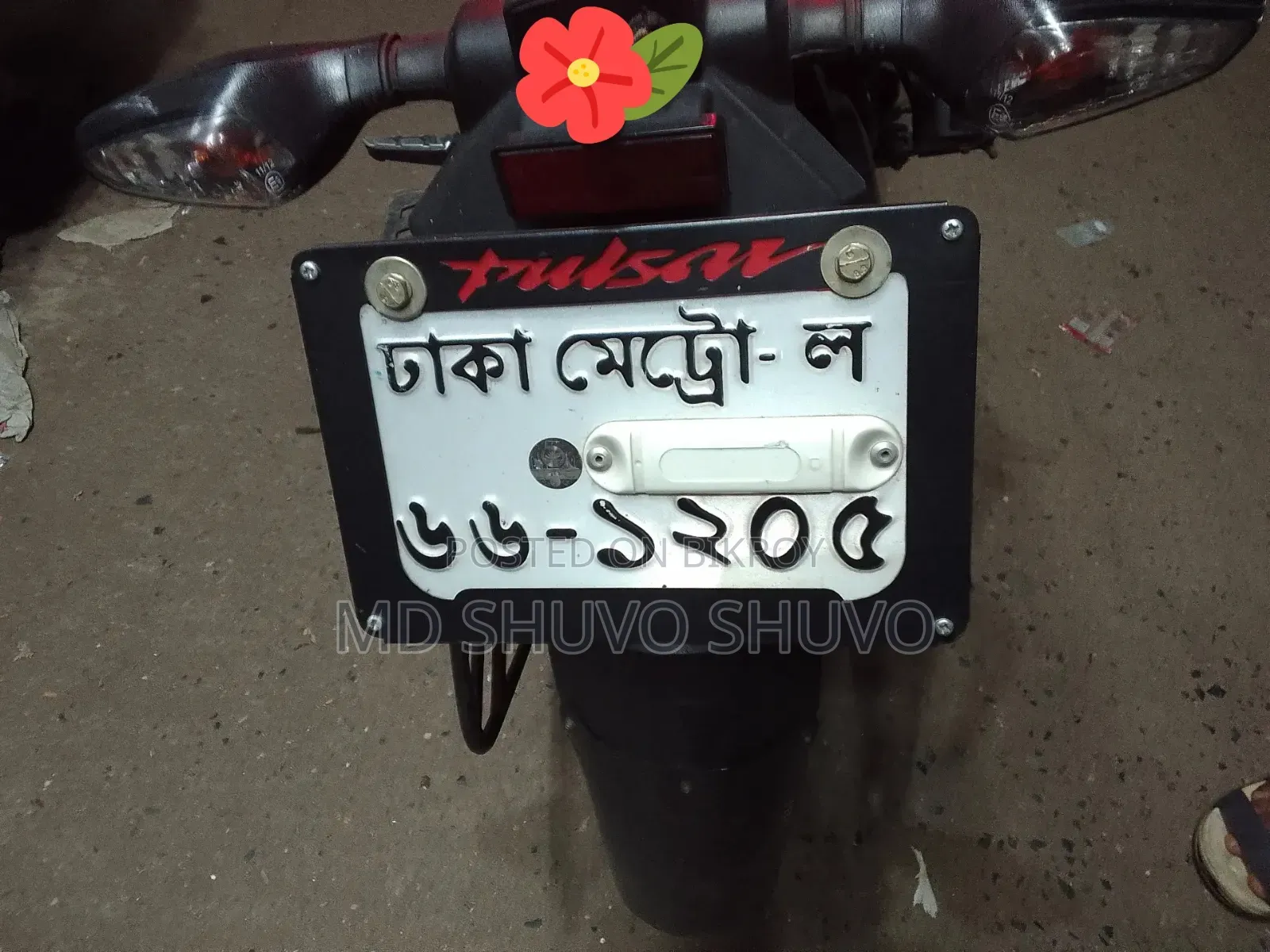 New Bajaj Pulsar N250 2025 Gray