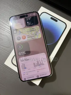Apple iPhone 14 Pro Max 256 GB Silver