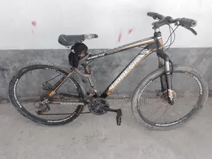 ফোনিক্স এমটিবি