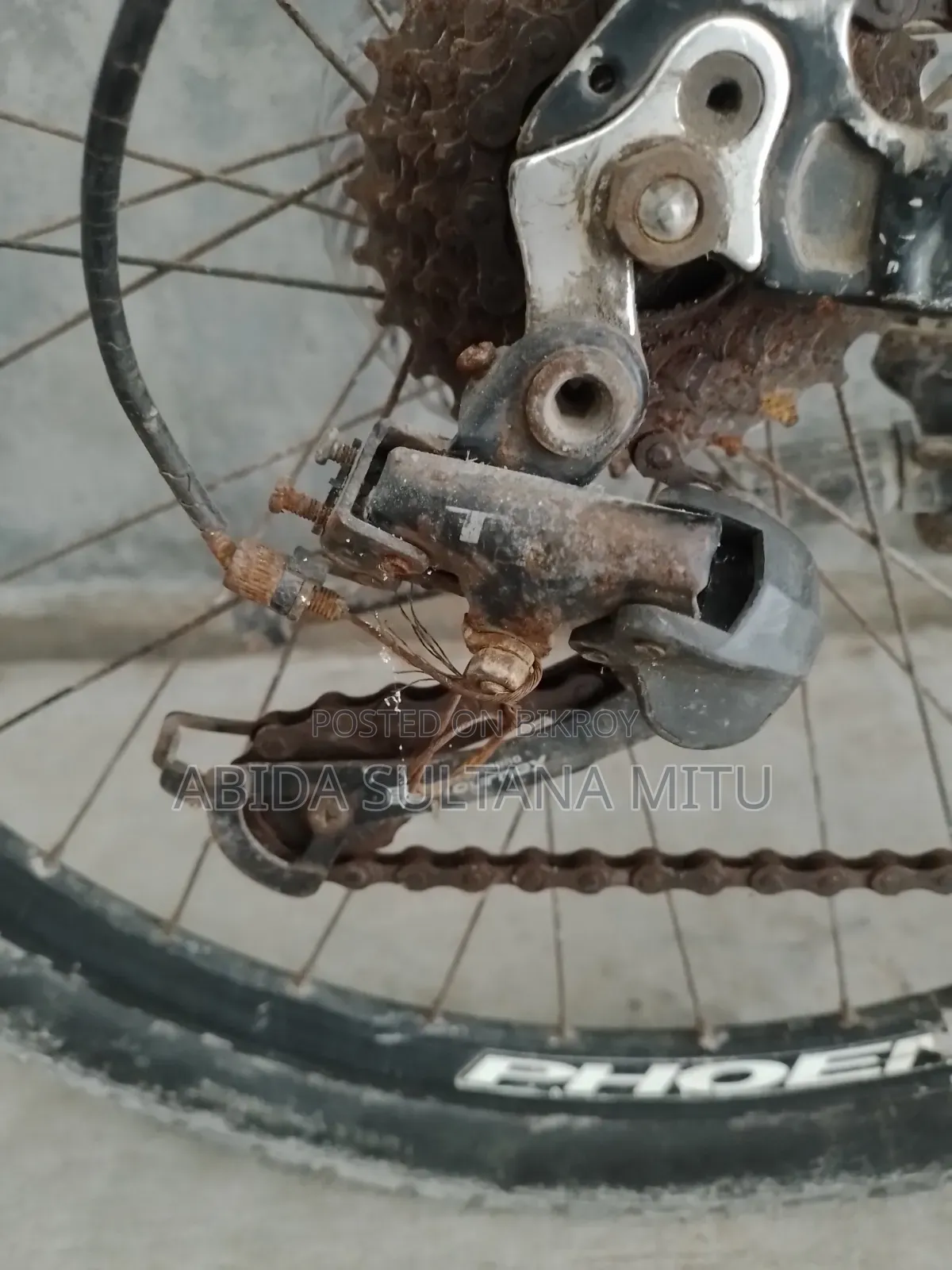 ফোনিক্স এমটিবি