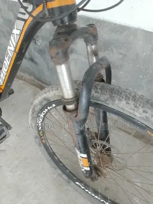 ফোনিক্স এমটিবি