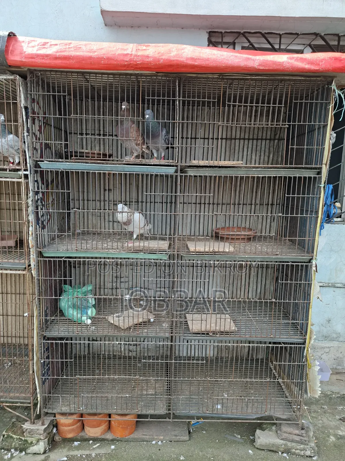 কবুতর খাঁচা