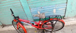 সোহাগ সাইকেল স্টোর রানী বাজার