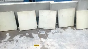 ফুল ফ্রেশ কনডিশনের জিআই ট্রে