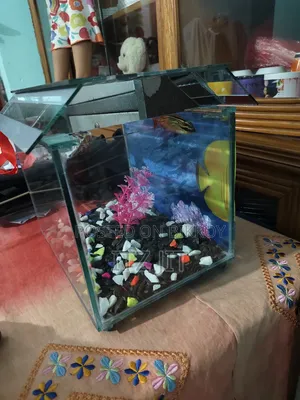 ১ ফিট বাই ৭ ইঞ্চ উচ্চতা ১ ফিট সাইজের একুরিয়াম । }