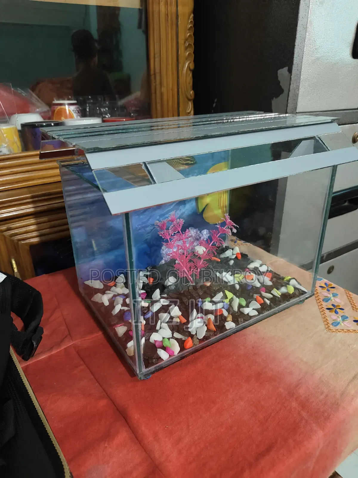 ১ ফিট বাই ৭ ইঞ্চ উচ্চতা ১ ফিট সাইজের একুরিয়াম । }