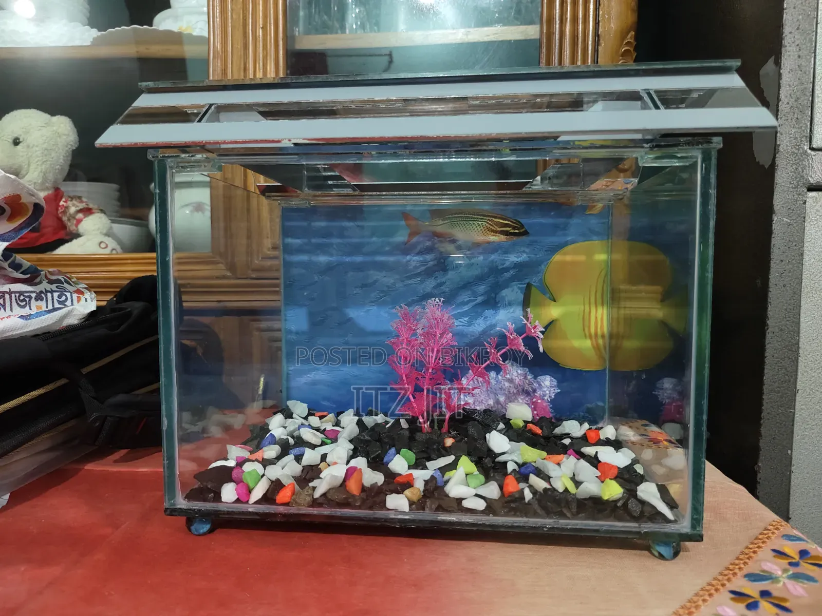 ১ ফিট বাই ৭ ইঞ্চ উচ্চতা ১ ফিট সাইজের একুরিয়াম । }