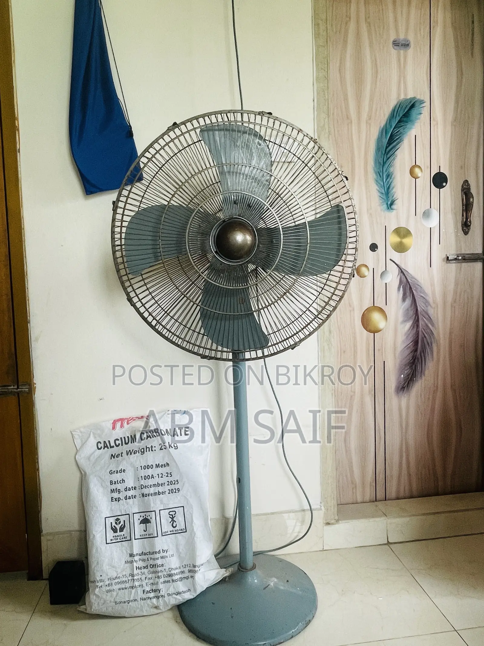 Pakistani Fan