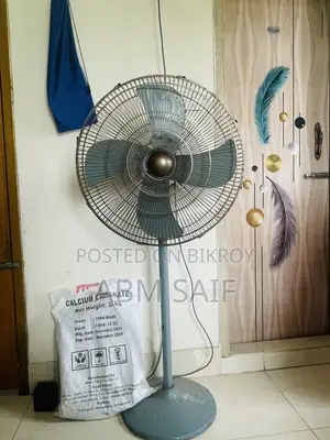 Pakistani Fan