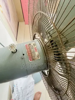 Pakistani Fan