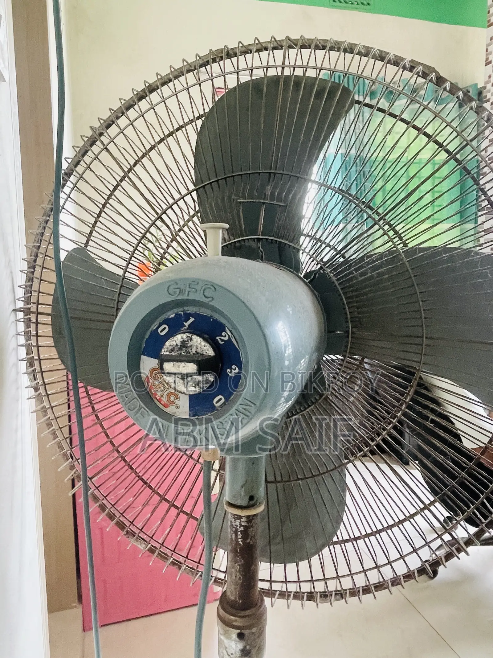 Pakistani Fan