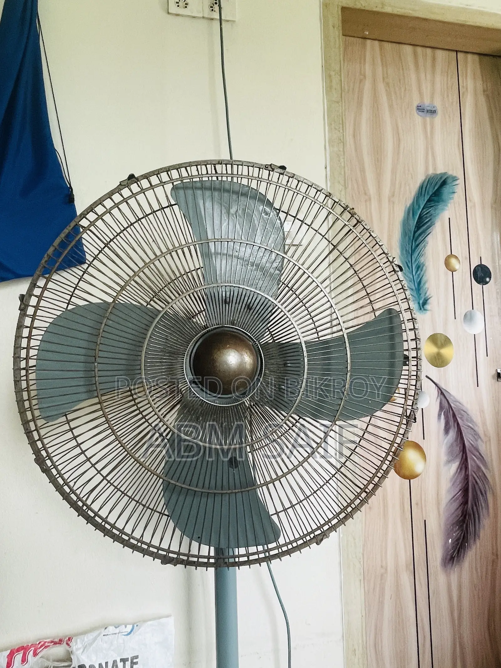 Pakistani Fan