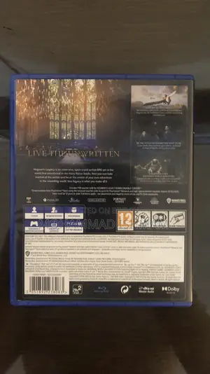Hogwarts Legacy Ps4