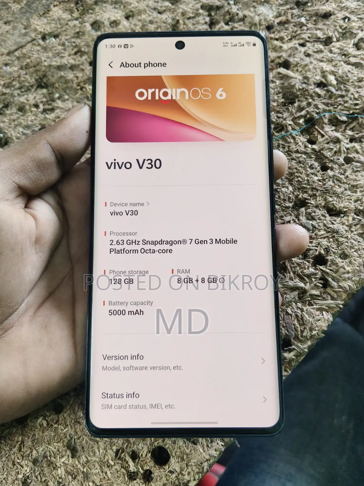 Vivo V30 5G 256 GB Green