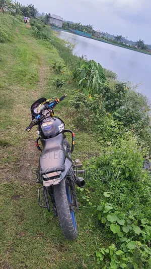 Bajaj Pulsar 150 2009 Black