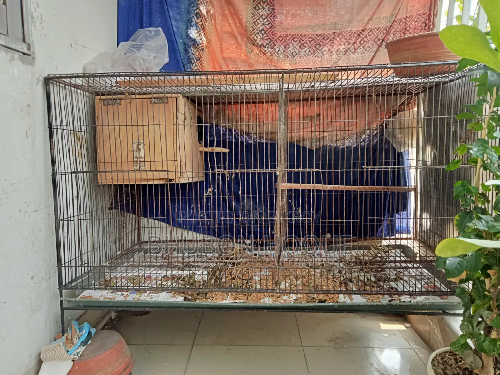 Bird Cage Big Size