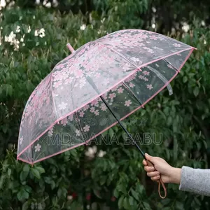 Transparent Umbrella (Rhfthdtfs)