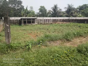অল্প দামে ভি আইপি জমি