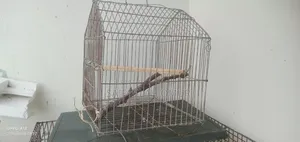 Khacha for Sell