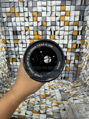 Canon 55-250mm STM Zoom Lens