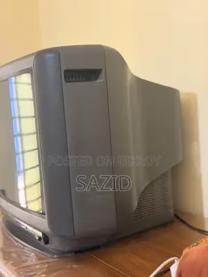Vintage TV