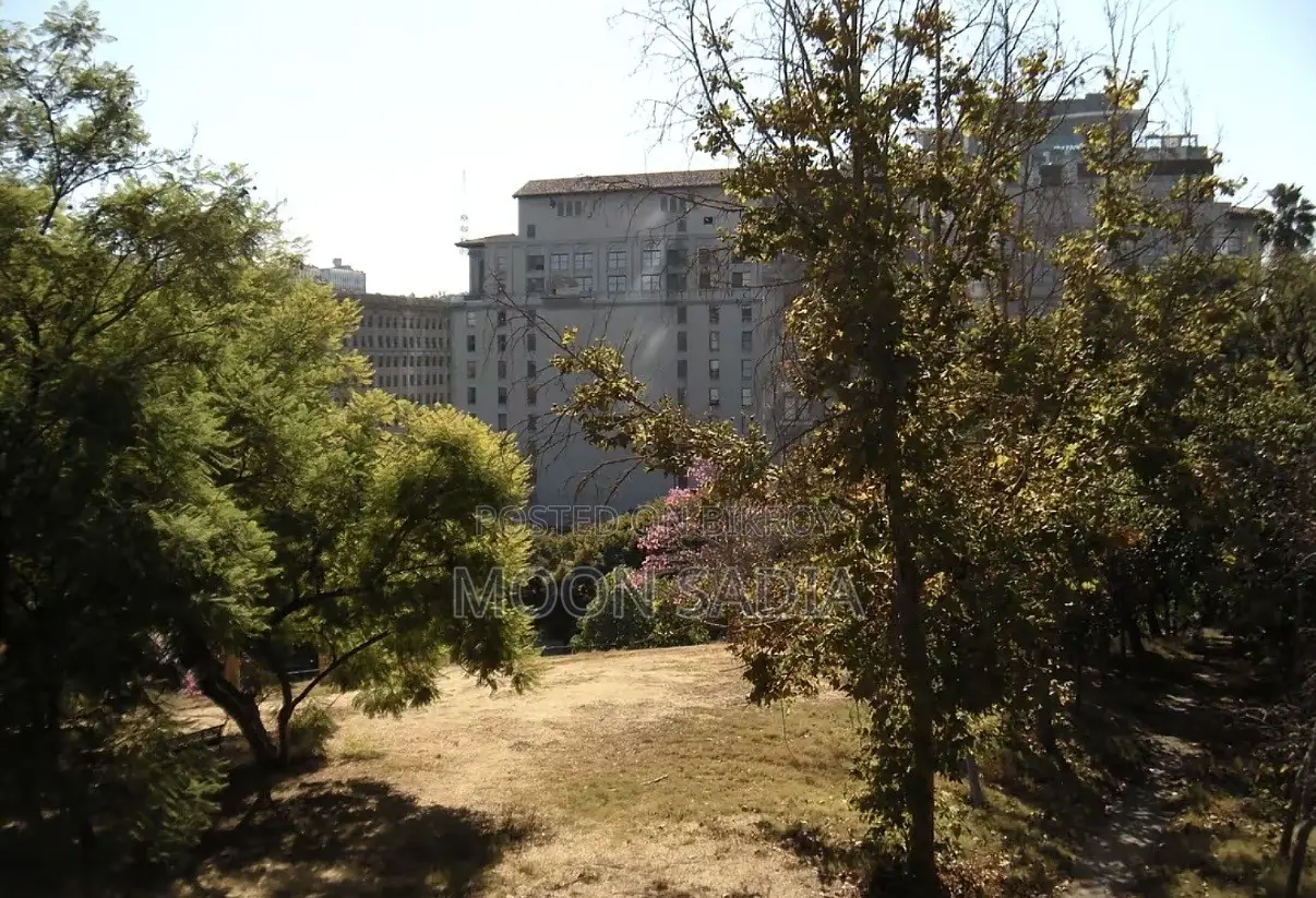 Digital Camera