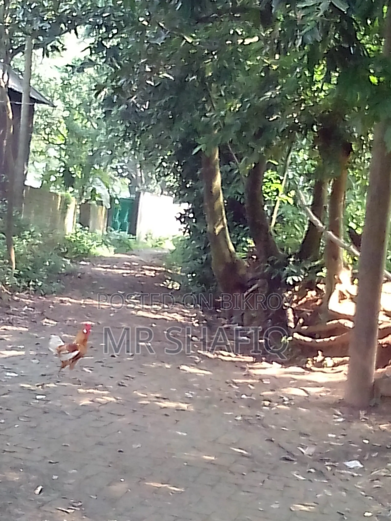 Secured Land for Sell at Dhaka-Berulia