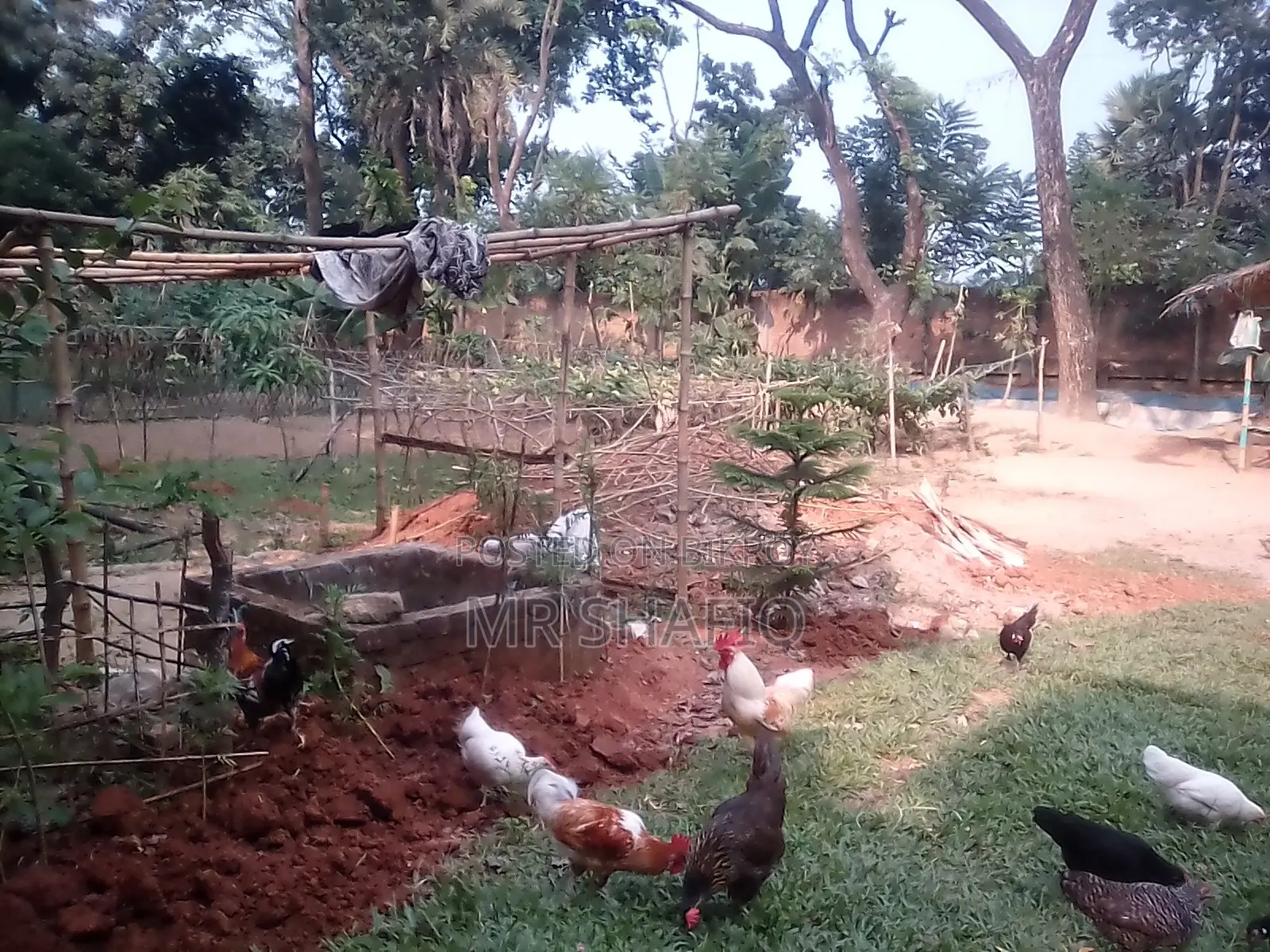 Secured Land for Sell at Dhaka-Berulia
