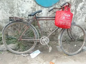 বাংলা সাইকেল