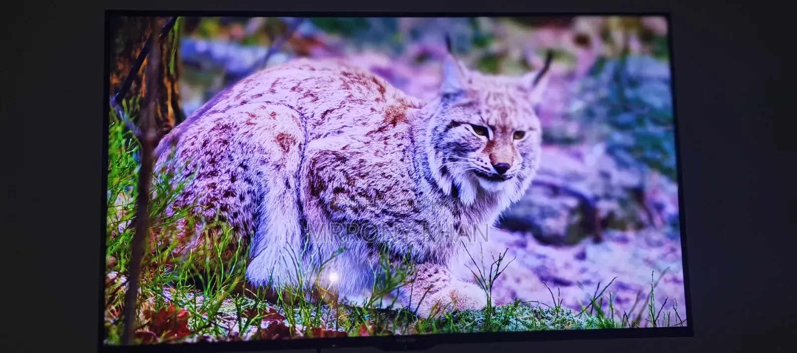 Vision 43inches Smart Android TV