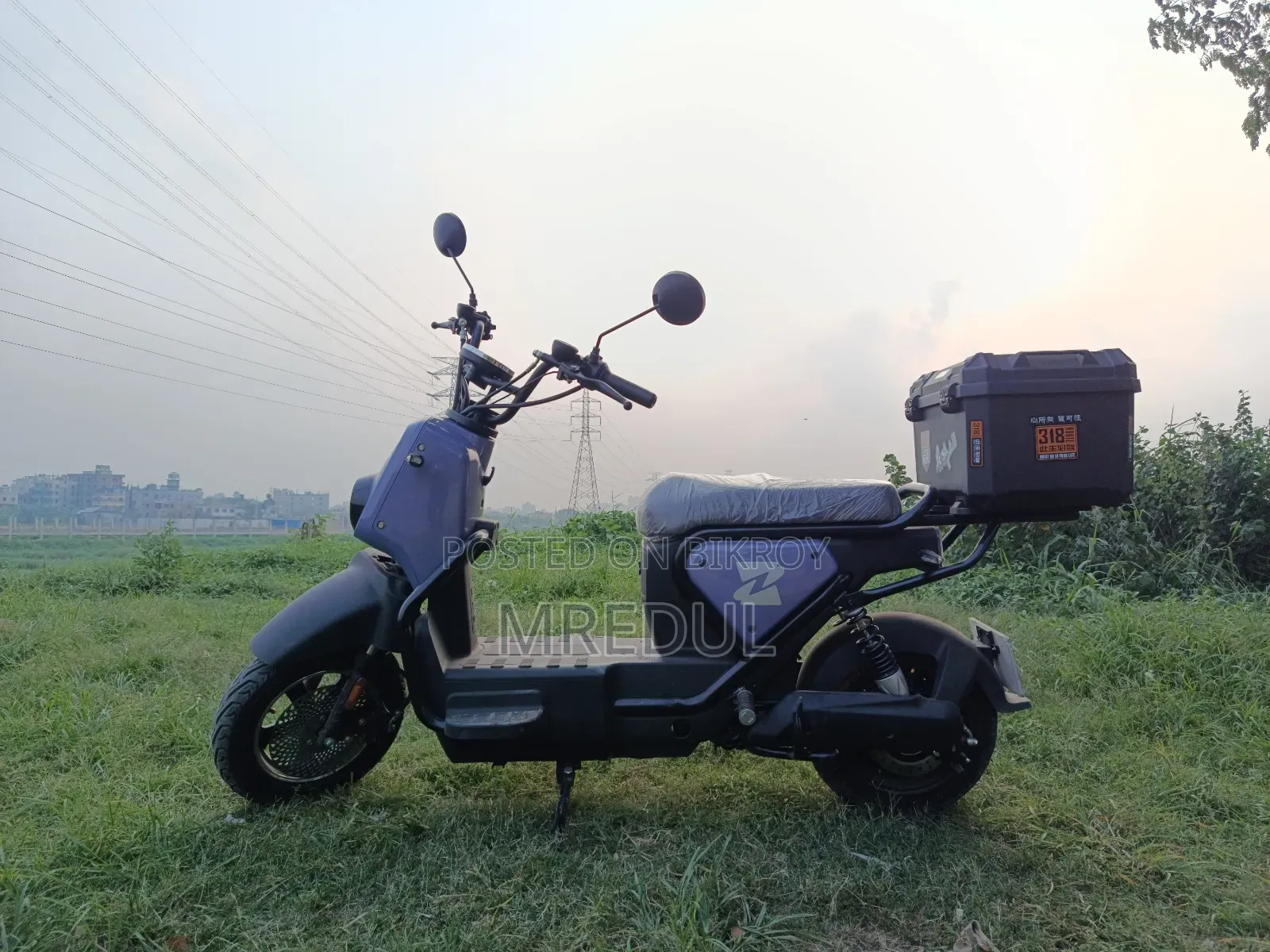 Motorcycle 2025 Purple