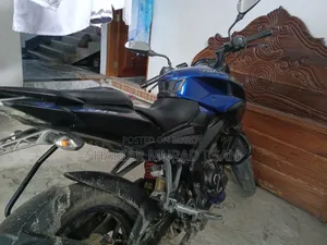 Bajaj Pulsar NS 160 2019 Blue