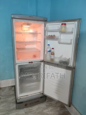 LG Butterfly Fridge