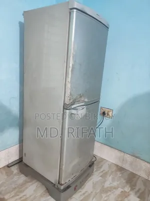 LG Butterfly Fridge