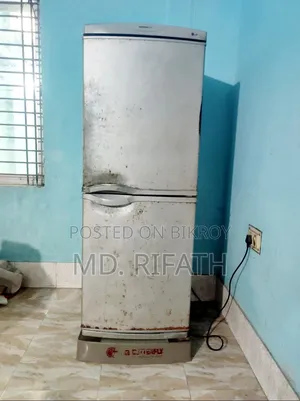 LG Butterfly Fridge
