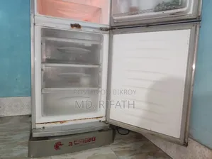 LG Butterfly Fridge