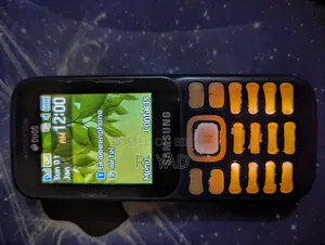 Samsung Guru Music 2 Blue