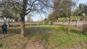 15 Decimal Land Near Jolshiri