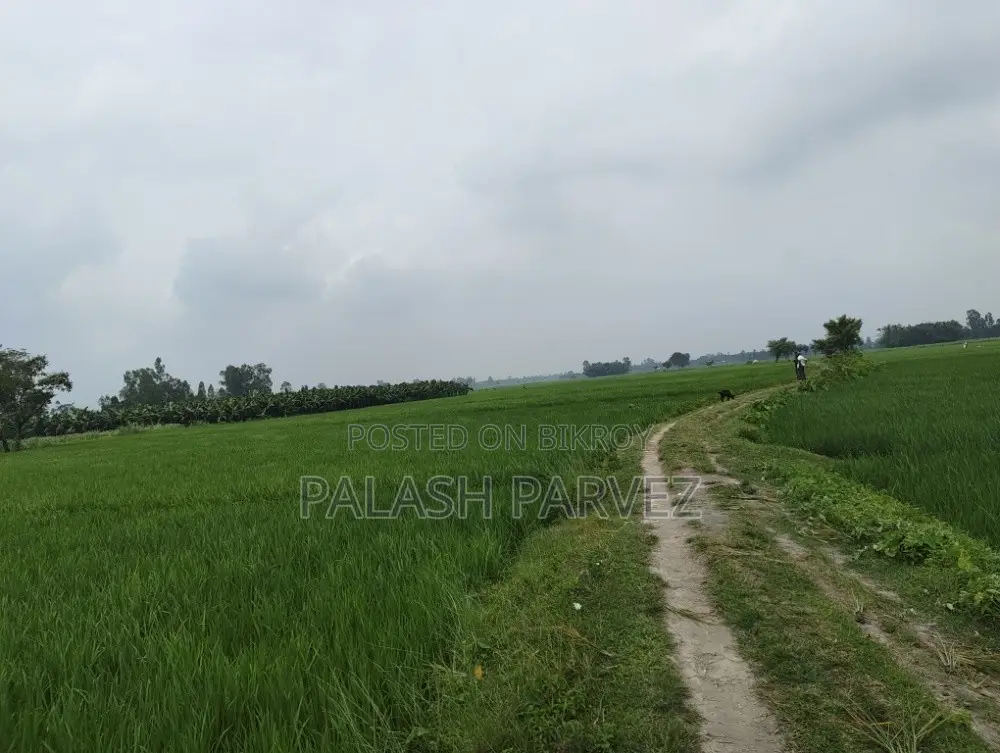 খামার প্রজেক্টের জন্য উপযুক্ত ৪৮ শতক জমি বিক্রি হবে (সরাসরি মালিক)