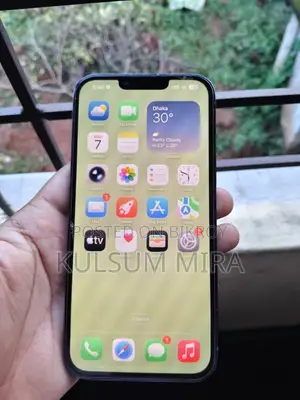 Apple iPhone 13 Pro Max 128 GB Blue