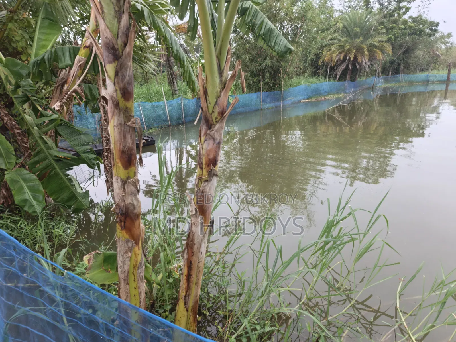 ঘের জমি বিক্রয় করা হবে