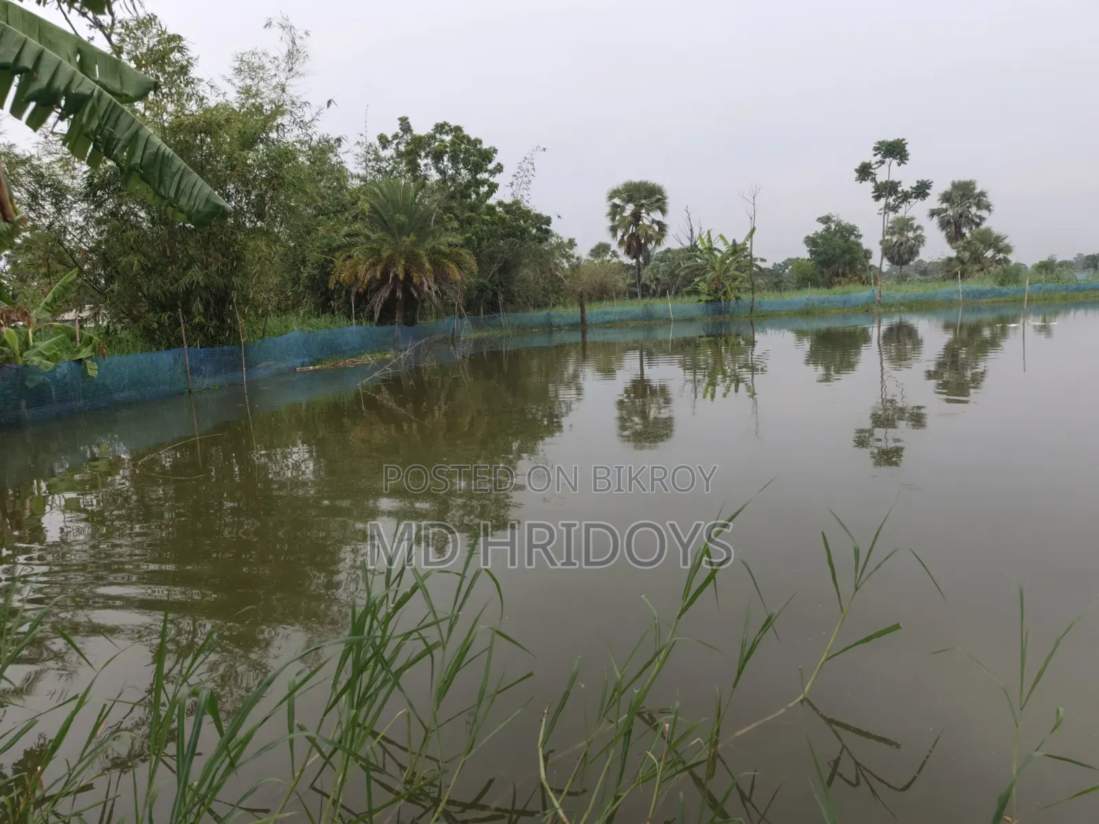 ঘের জমি বিক্রয় করা হবে