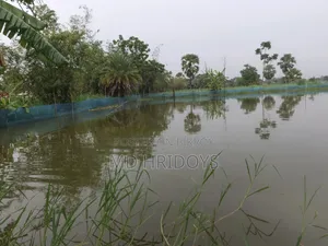 ঘের জমি বিক্রয় করা হবে
