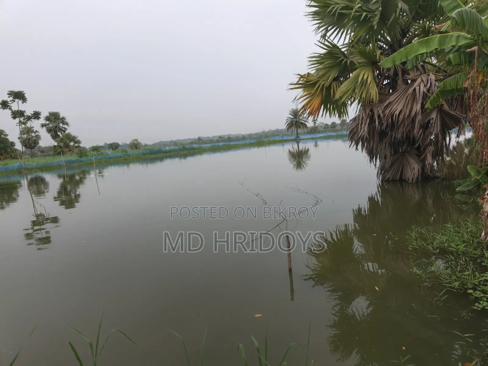 ঘের জমি বিক্রয় করা হবে