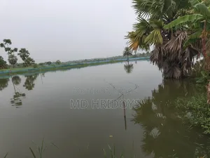ঘের জমি বিক্রয় করা হবে