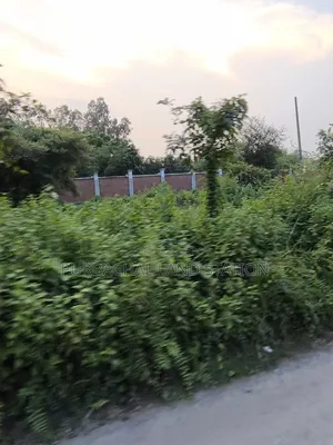 Sector:15,Prime Location 5 Katha Plot Sale in Purbachal
