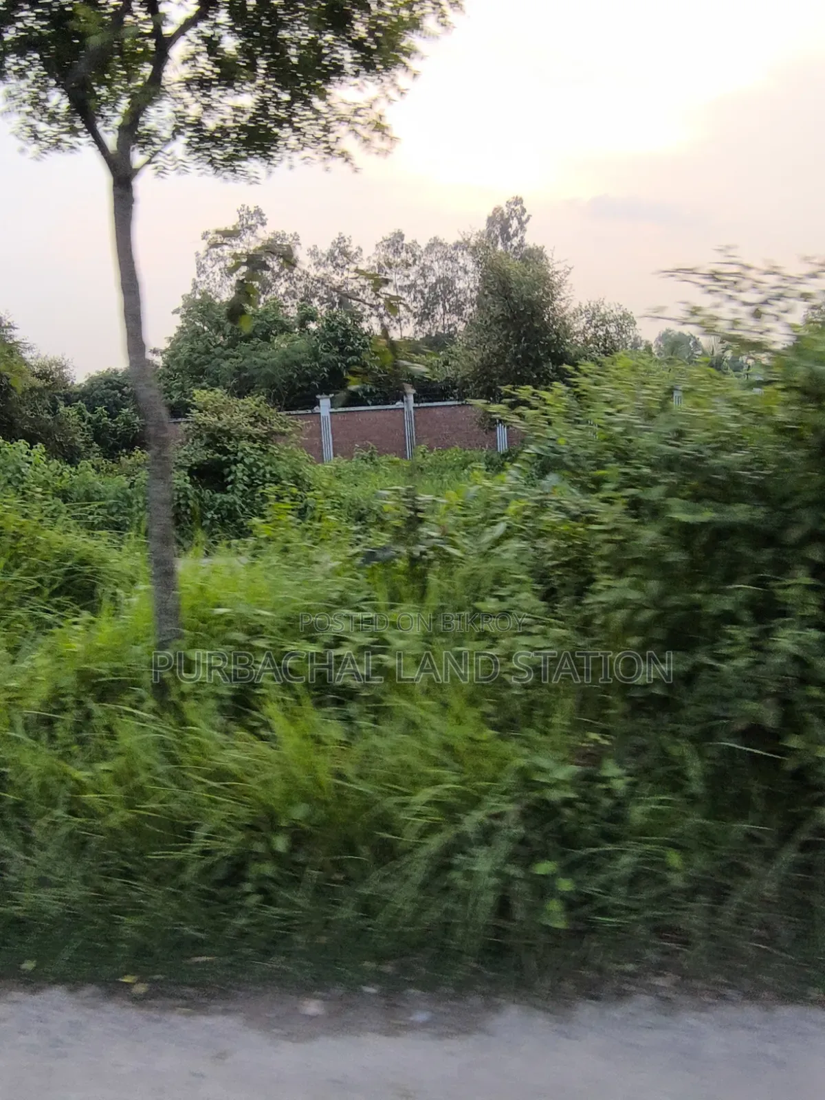 Sector:15,Prime Location 5 Katha Plot Sale in Purbachal