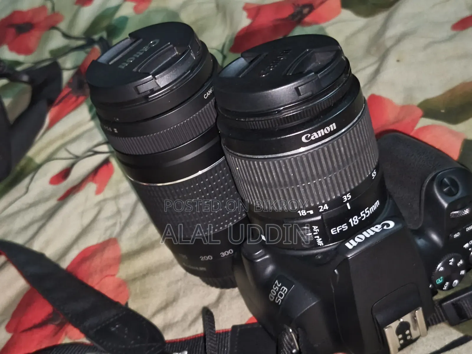 Canon EOS 250 D